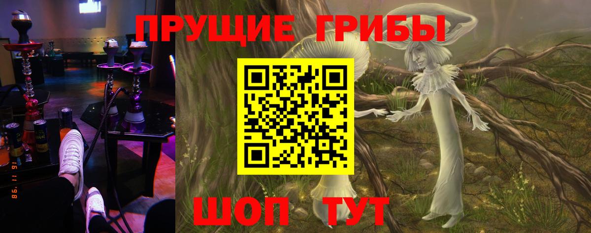 Псилоцибиновые грибы MAGIC MUSHROOMS Барнаул
